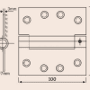 18. STAINLESS STEEL SPRING HINGES