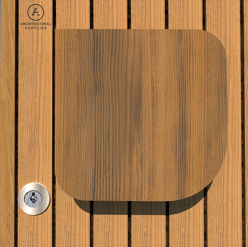 Entrance Door Handle Paddle